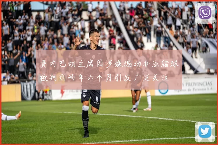 费内巴切主席因涉嫌煽动非法赌球被判刑两年六个月引发广泛关注